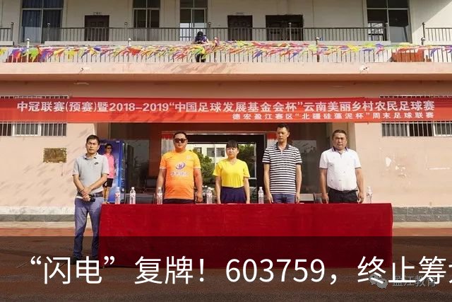 “闪电”复牌！603759，终止筹划重大事项